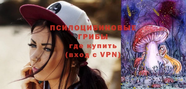 ПСИЛОЦИБИНОВЫЕ ГРИБЫ Ветлуга