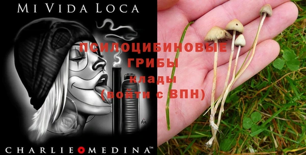 ПСИЛОЦИБИНОВЫЕ ГРИБЫ Видное