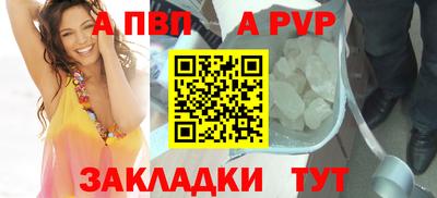 стафф Гай