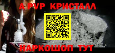 стафф Гай