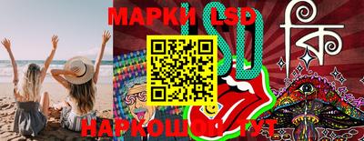 стафф Гай