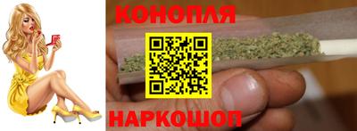 стафф Гай