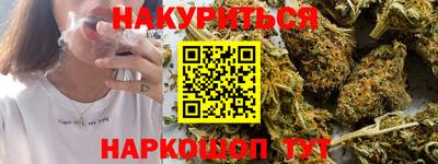 стафф Гай