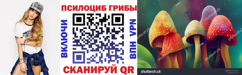Галлюциногенные грибы Psilocybine cubensis  кракен зеркало  Кизляр 
