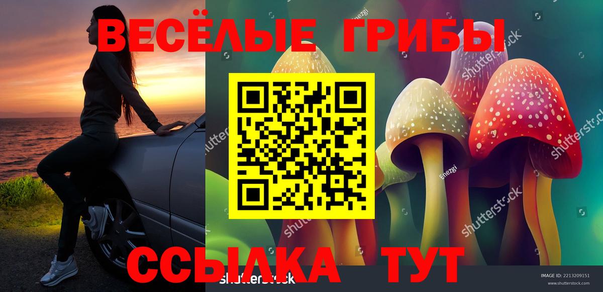 Псилоцибиновые грибы Psilocybe Кизляр