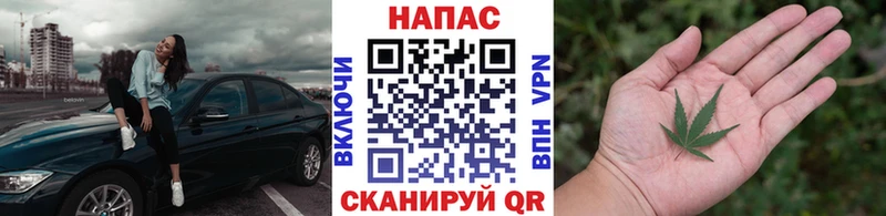 маркетплейс какой сайт Кизляр Каннабис планчик